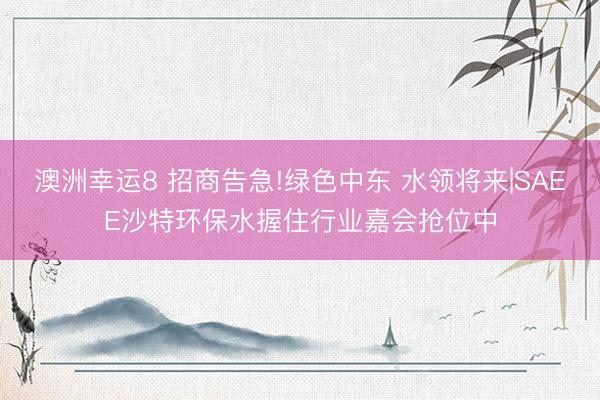 澳洲幸运8 招商告急!绿色中东 水领将来|SAEE沙特环保水握住行业嘉会抢位中