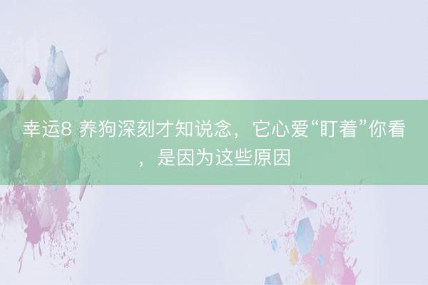幸运8 养狗深刻才知说念，它心爱“盯着”你看，是因为这些原因