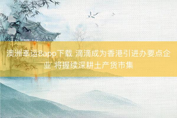 澳洲幸运8app下载 滴滴成为香港引进办要点企业 将握续深耕土产货市集
